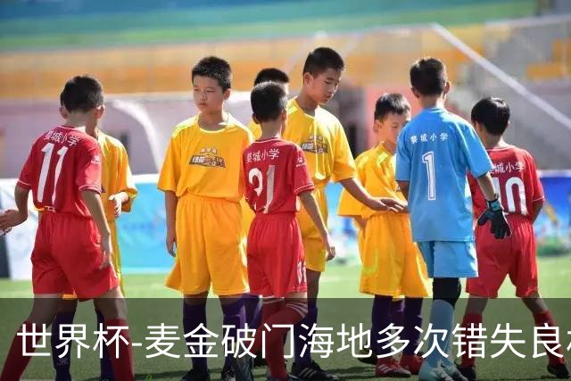 世界杯-麦金破门海地多次错失良机 半场苏格兰1-0领先
