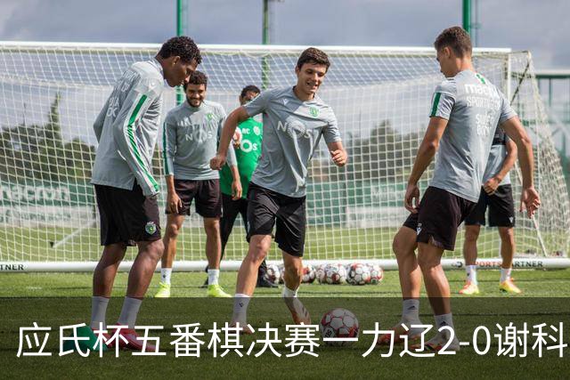 应氏杯五番棋决赛一力辽2-0谢科 率先拿到赛点
